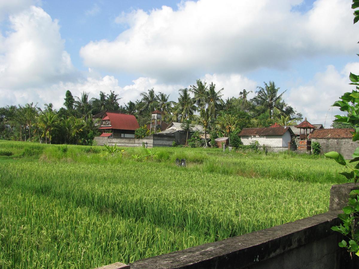 Pondok Mesari House 乌布 外观 照片